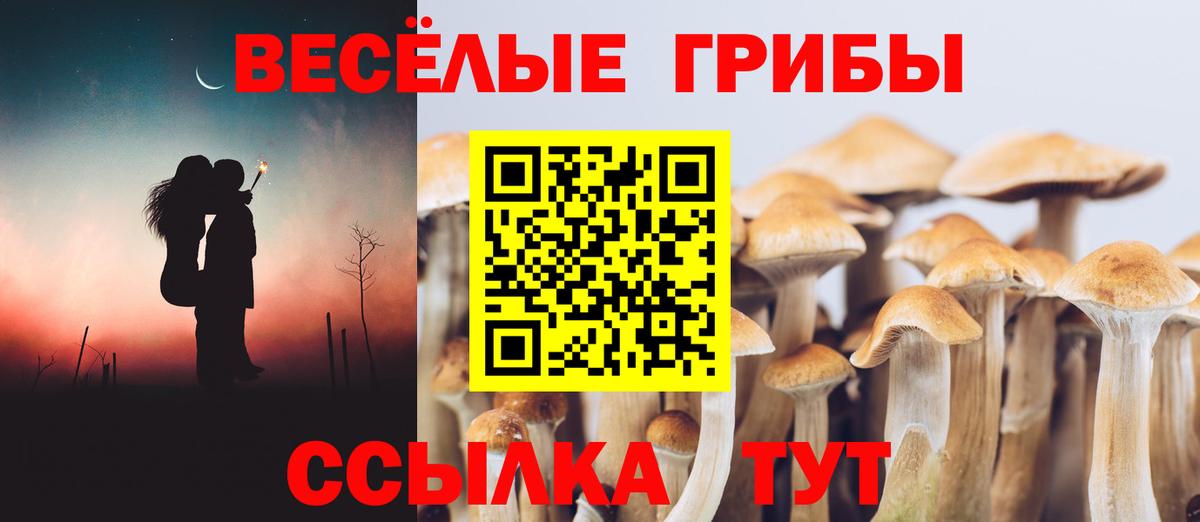 Бугуруслан  Псилоцибиновые грибы GOLDEN TEACHER  Вход с VPN 